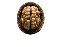 Beyond the Fog: The 2026 Guide to the Top 10 Brain Supplements for Focus and Drive
