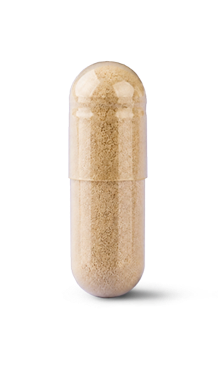 Capsule With Shadow