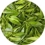 Clean Energy Complex