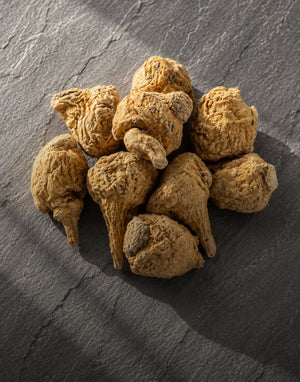 Maca